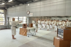 20251124蝓ｼ邇臥恁謨吝玄譛ｬ螻ｱ蜈ｬ隱崎ｬ帷ｿ剃ｼ喀IMG_5163