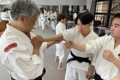 20251124蝓ｼ邇臥恁謨吝玄譛ｬ螻ｱ蜈ｬ隱崎ｬ帷ｿ剃ｼ喀IMG_5227