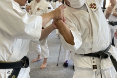 20251124蝓ｼ邇臥恁謨吝玄譛ｬ螻ｱ蜈ｬ隱崎ｬ帷ｿ剃ｼ喀IMG_5348