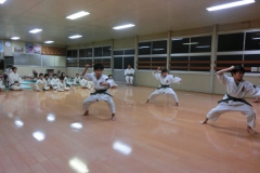13演武1