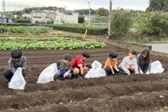 2025/11_サツマイモ掘り①