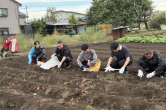 2025/11_サツマイモ掘り②