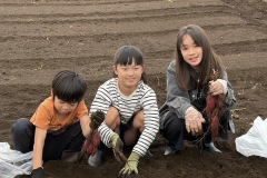 2025/11_サツマイモ掘り④