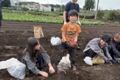 2025/11_サツマイモ掘り③